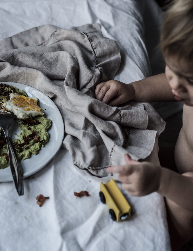 Avocado Mash, Bacon Bits & Egg Shapes My Lavender Blues